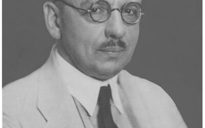 Inżynier d.s. obliczeń czy&nbsp;tylko&nbsp;użytkownik programu